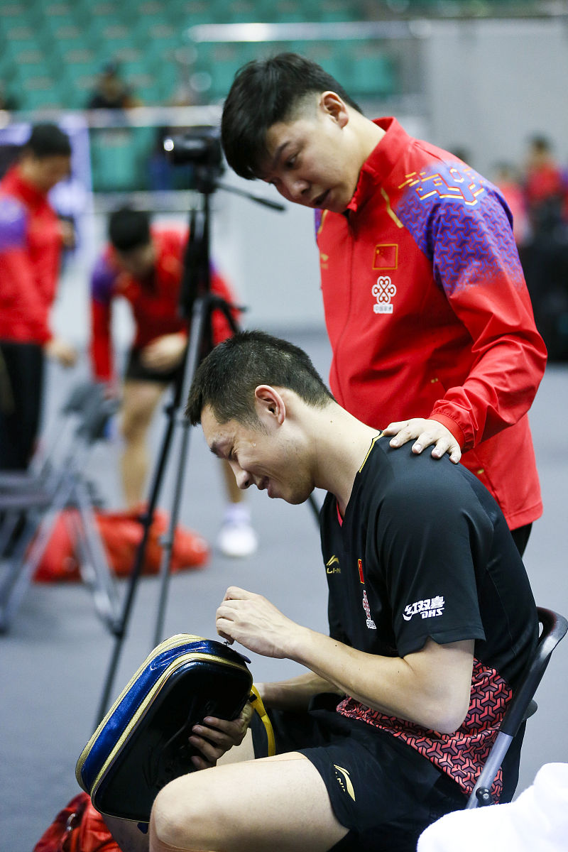 包含日本队碾压奥地利队，许昕高光表现的词条