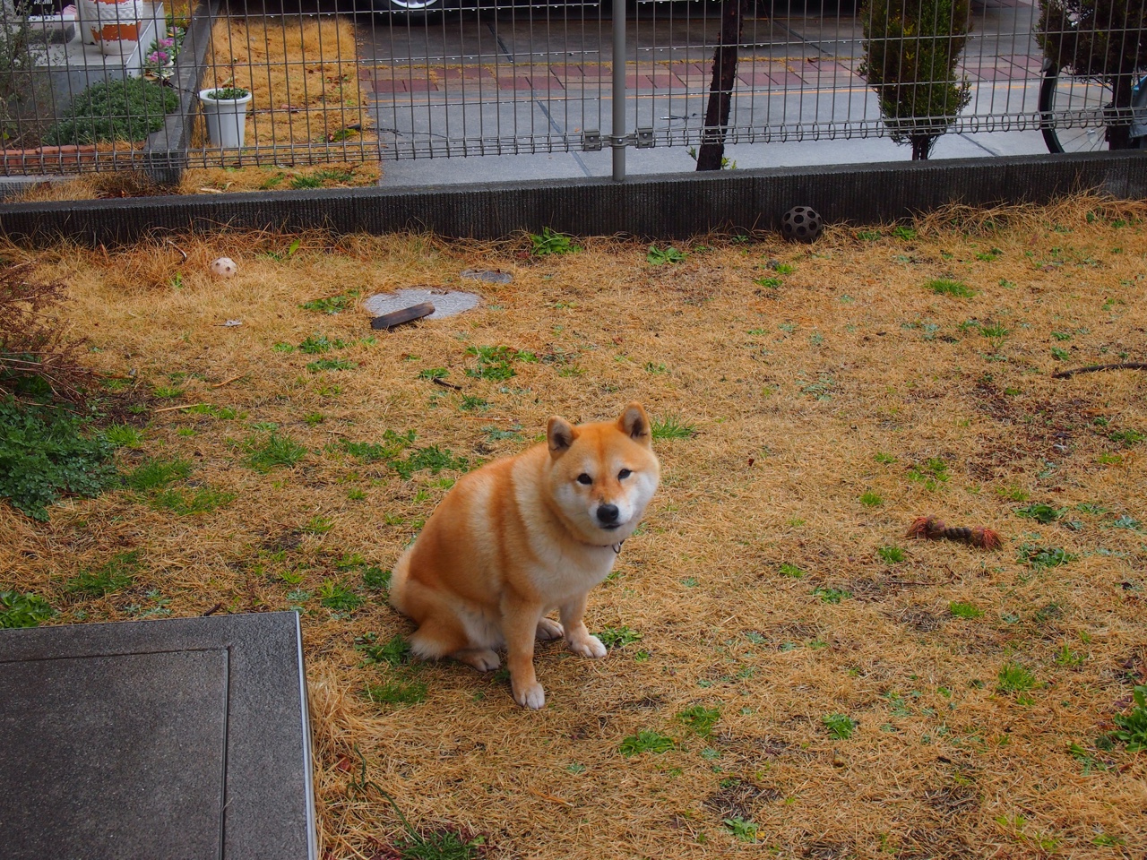 红牛二队战车何以失色？阿隆索用一场古典主义胜利宣告王者归来