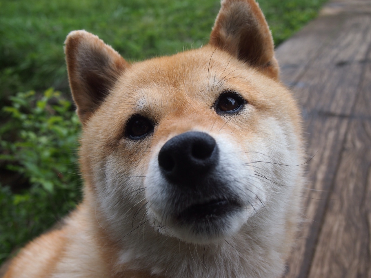 星火燎原，王皓绝境之击点亮赛场，中国队险胜奥地利队