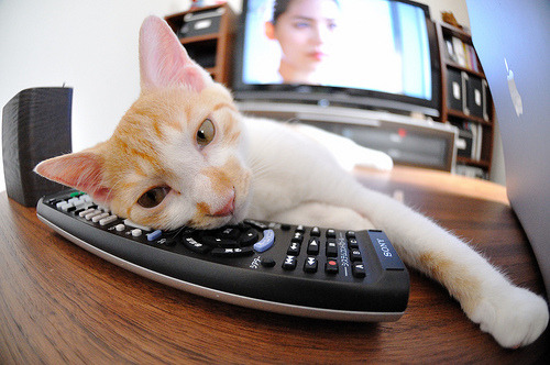 星火燎原，王皓绝境之击点亮赛场，中国队险胜奥地利队