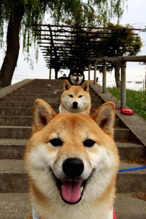 跨界接管,米切尔驾火箭终结76人,于F1巴林夜赛上演终极绝杀