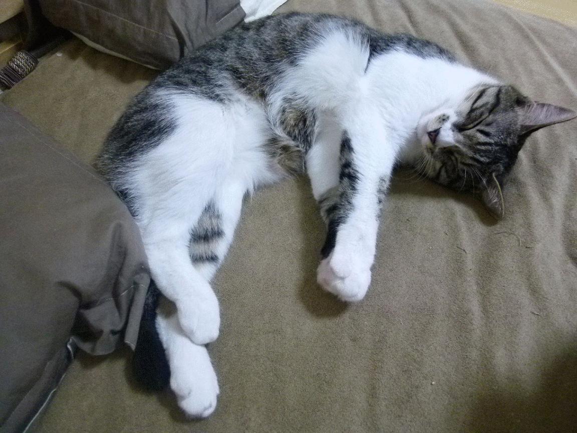 逆风执剑，莫兰特用40+诠释骑士精神的新定义