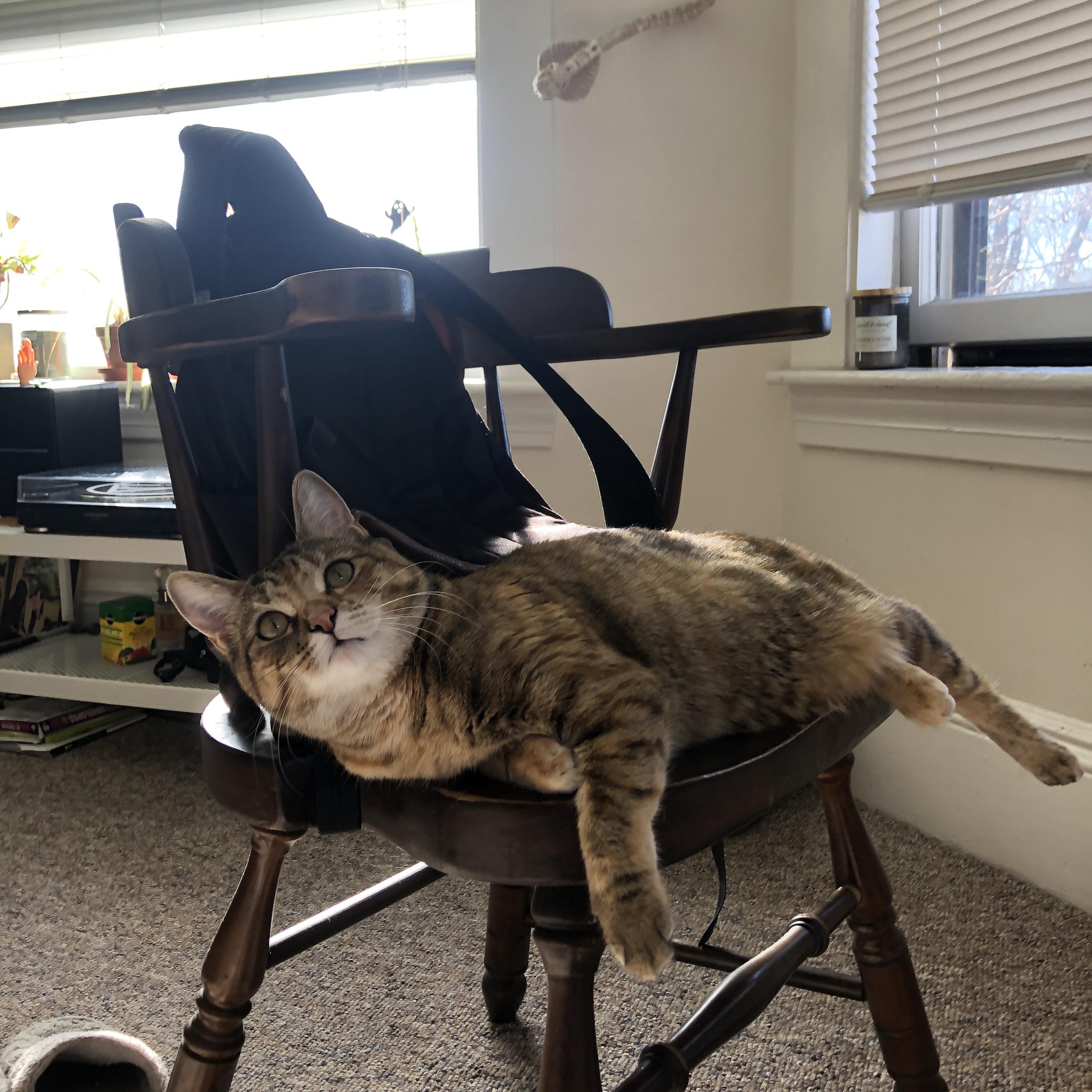 隐形战场上的绝杀者,霍勒迪在排名争夺战中接管比赛