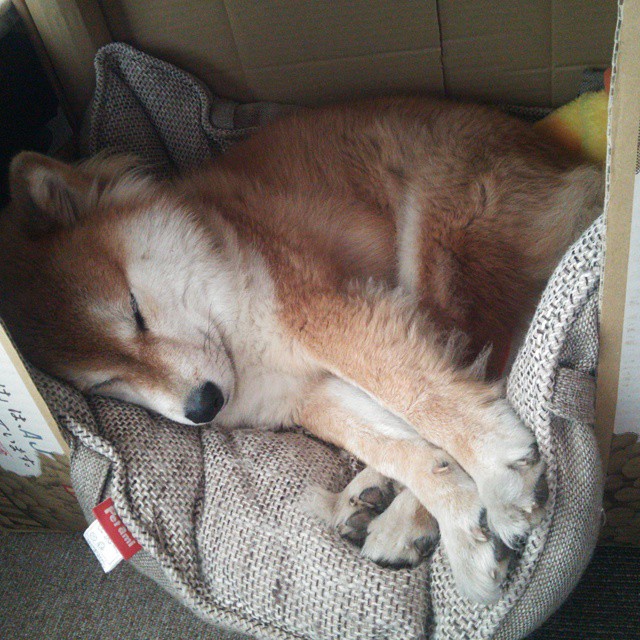 戟指钱塘,当马刺的寒芒刺穿江南水幕,美加墨的雷暴正从天而降