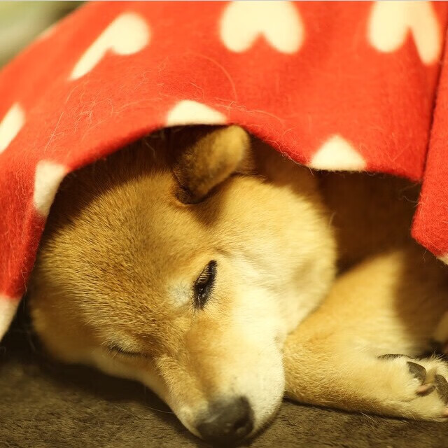 利拉德完成自我救赎，末节17分+压哨绝杀，步行者创53年纪录淘汰凯尔特人