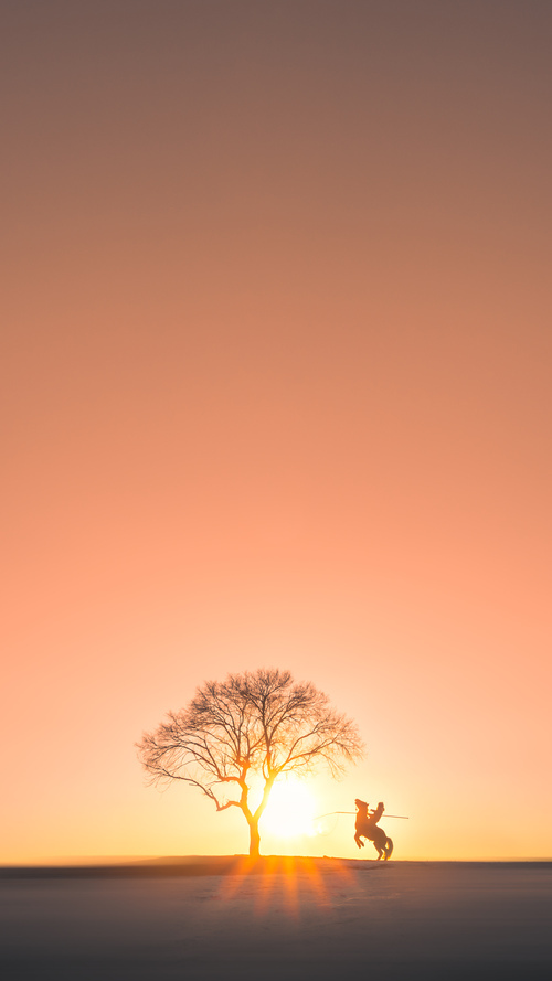 胜利的最后一笔,骑士单节发力击退吉林,武切维奇关键一击定乾坤