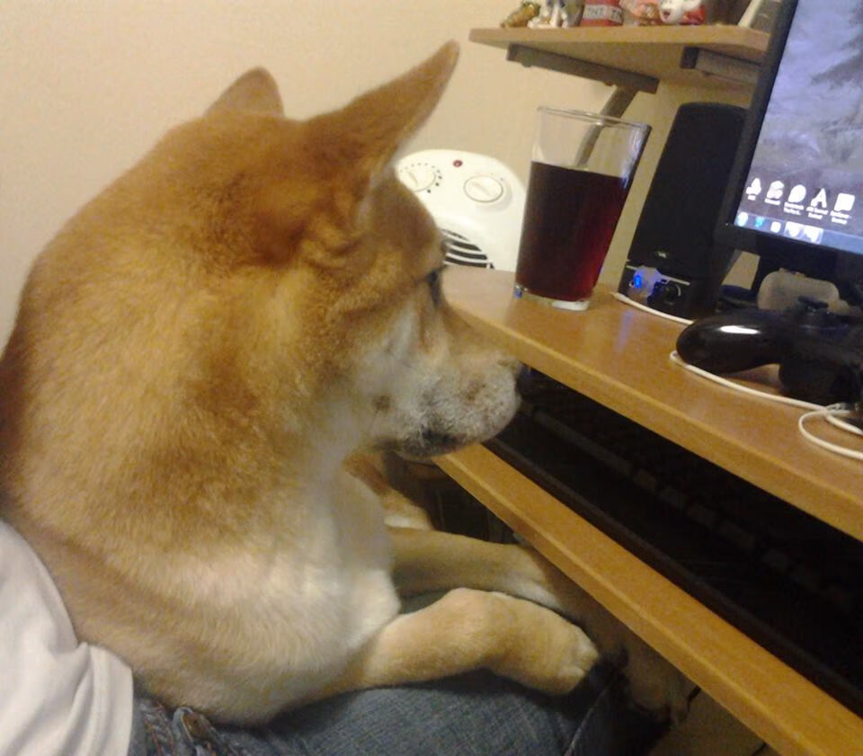 西亚卡姆狂砍45分引爆全场,开拓者与浙江队上演跨洋鏖战