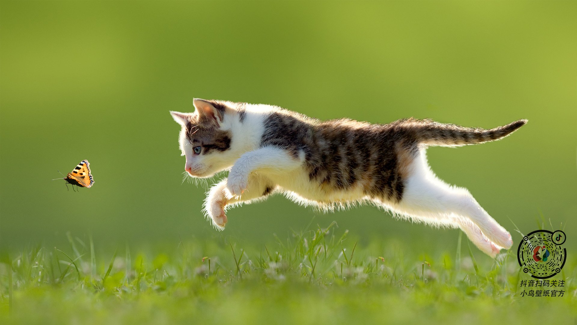 当闪电节奏遇上南美铁壁,一场NBA式的加勒比风暴