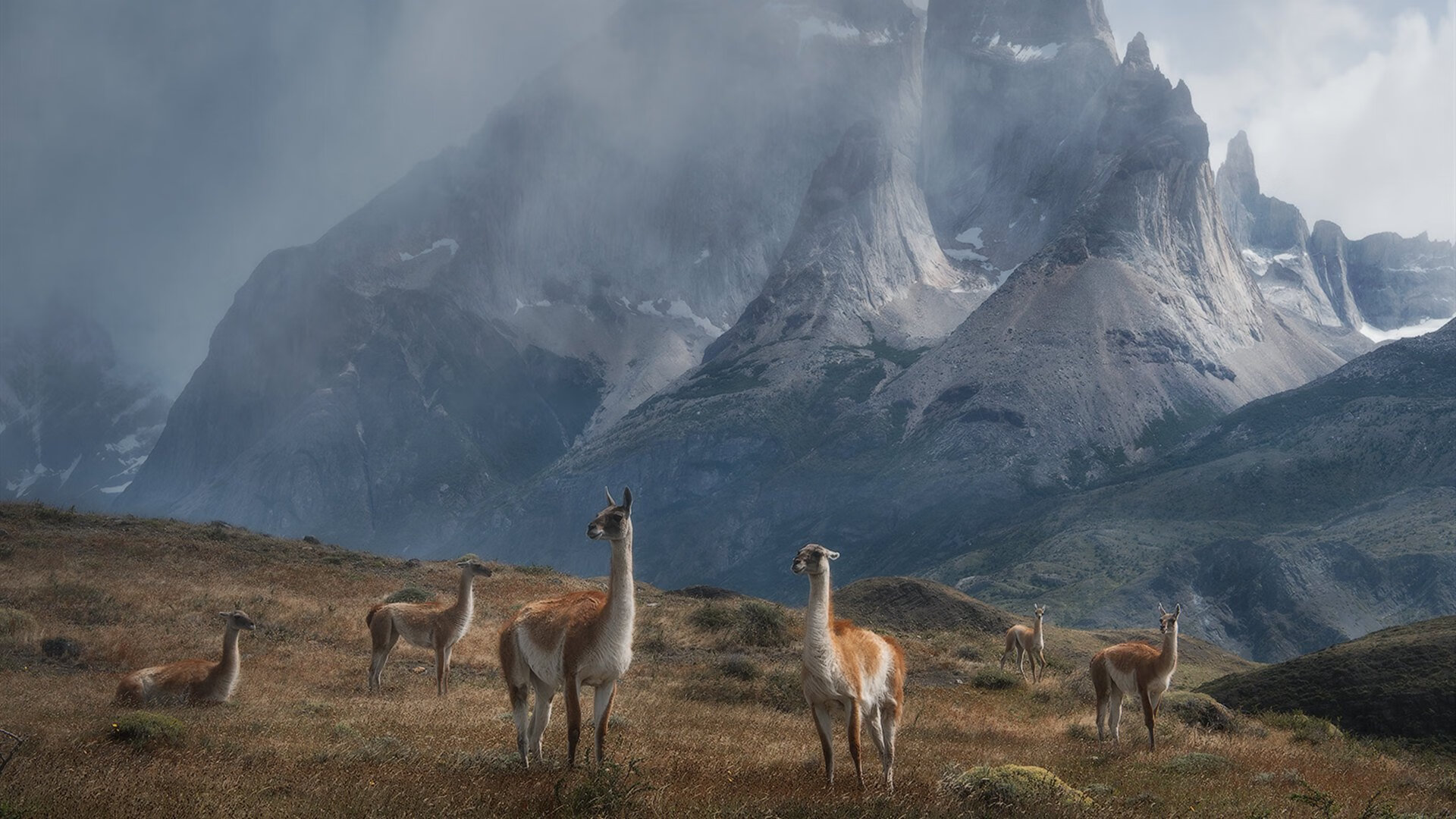 F1街道赛焦点战，德国引擎掀翻突尼斯奇迹