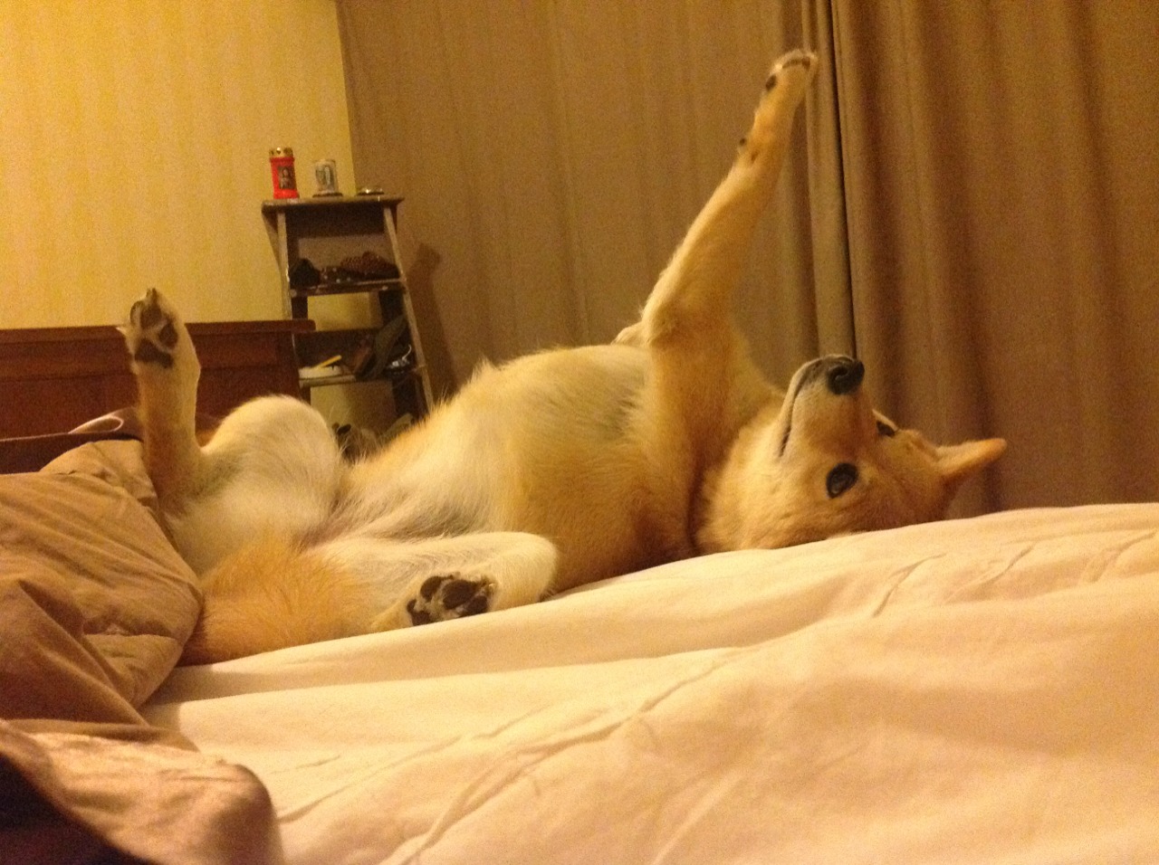 绿茵与极速的跨界交响，巴萨险胜葡萄牙，三笘薰意外主宰F1揭幕战