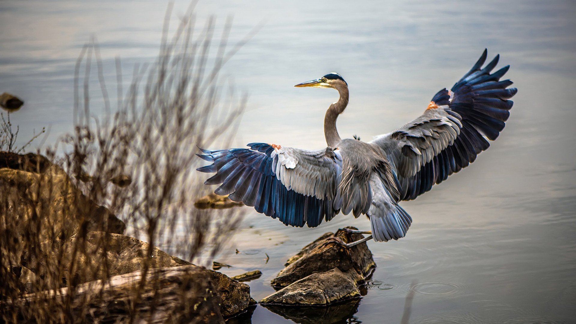 足球唯一性之夜，姆巴佩爆发与国际米兰的澳大利亚征服