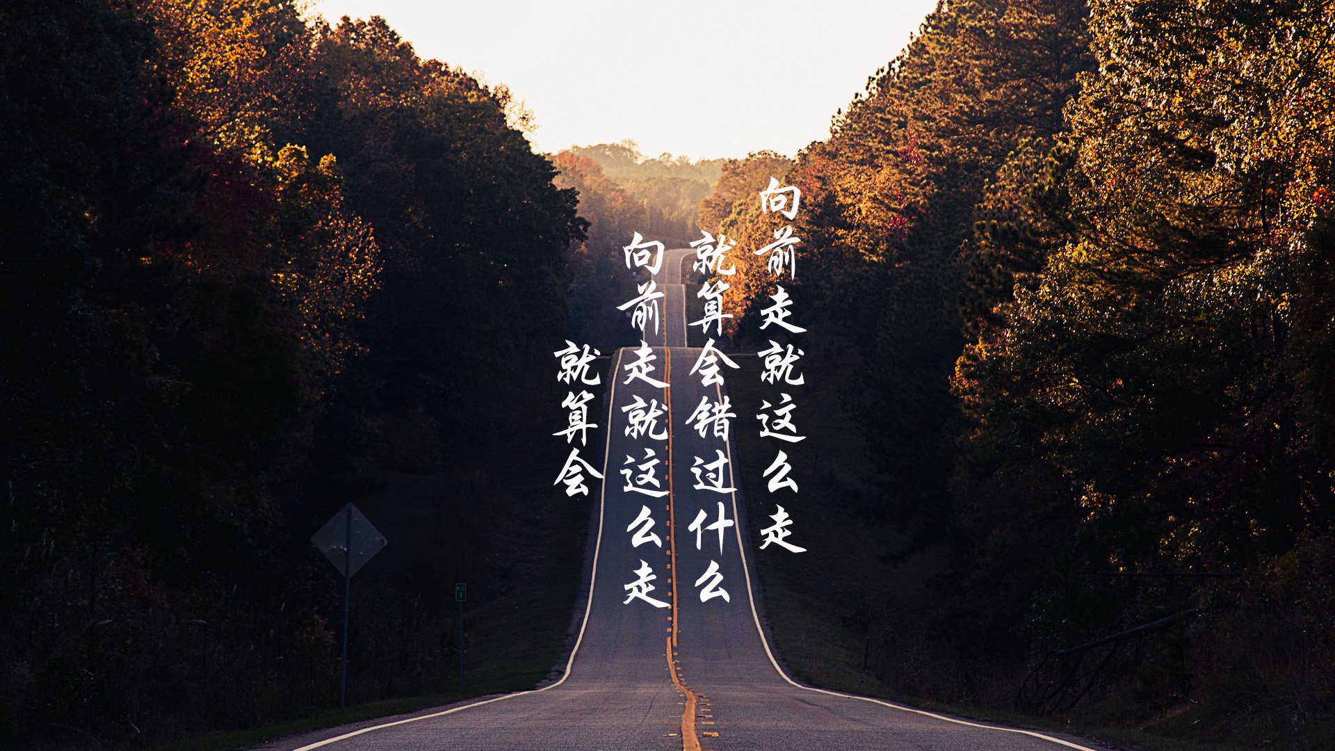 孤星对决,2026世界杯B组,波兰横扫喀麦隆,巴雷拉用铁血节奏改写命运